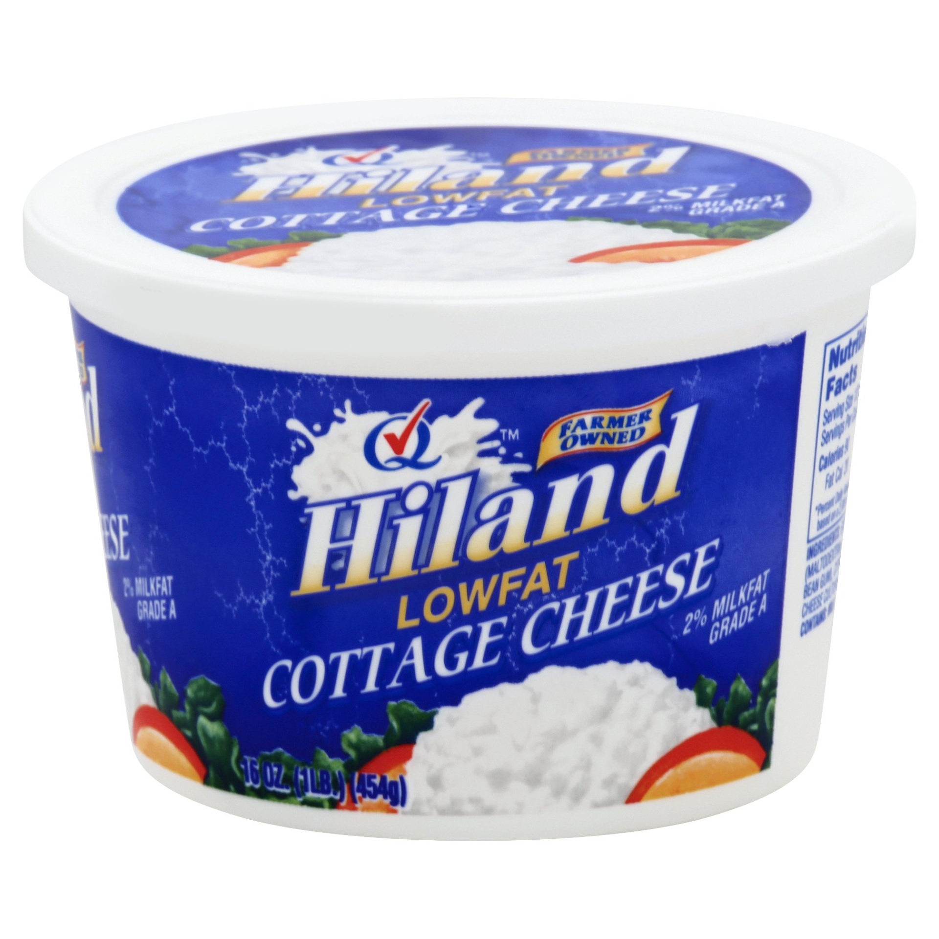 Hiland Dairy Lowfat Cottage Cheese 16 oz Shipt
