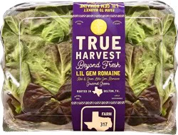 True Harvest Little Gem Romaine Lettuce