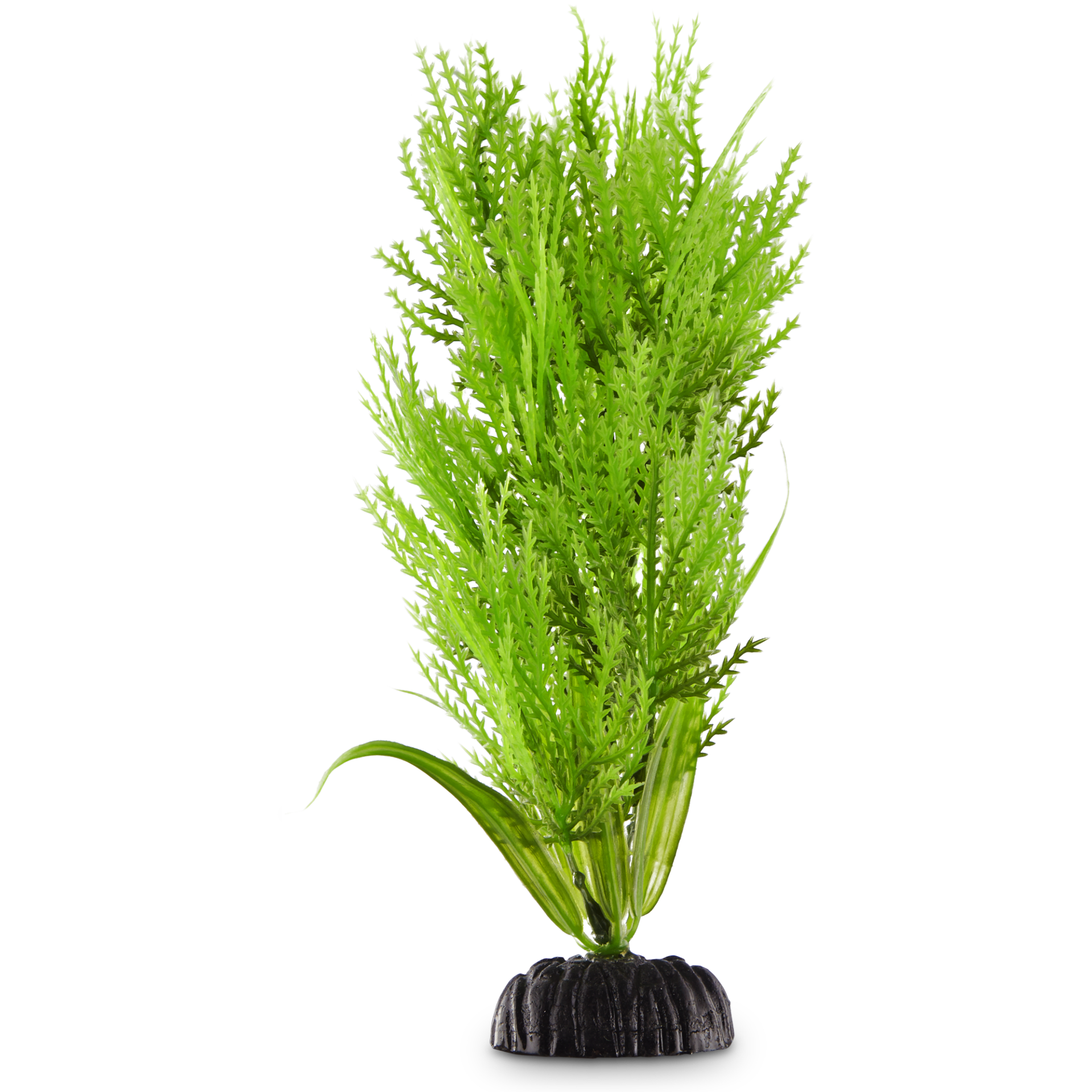 slide 1 of 1, Imagitarium Green Hairgrass Midground Plastic Aquarium Plant, MED