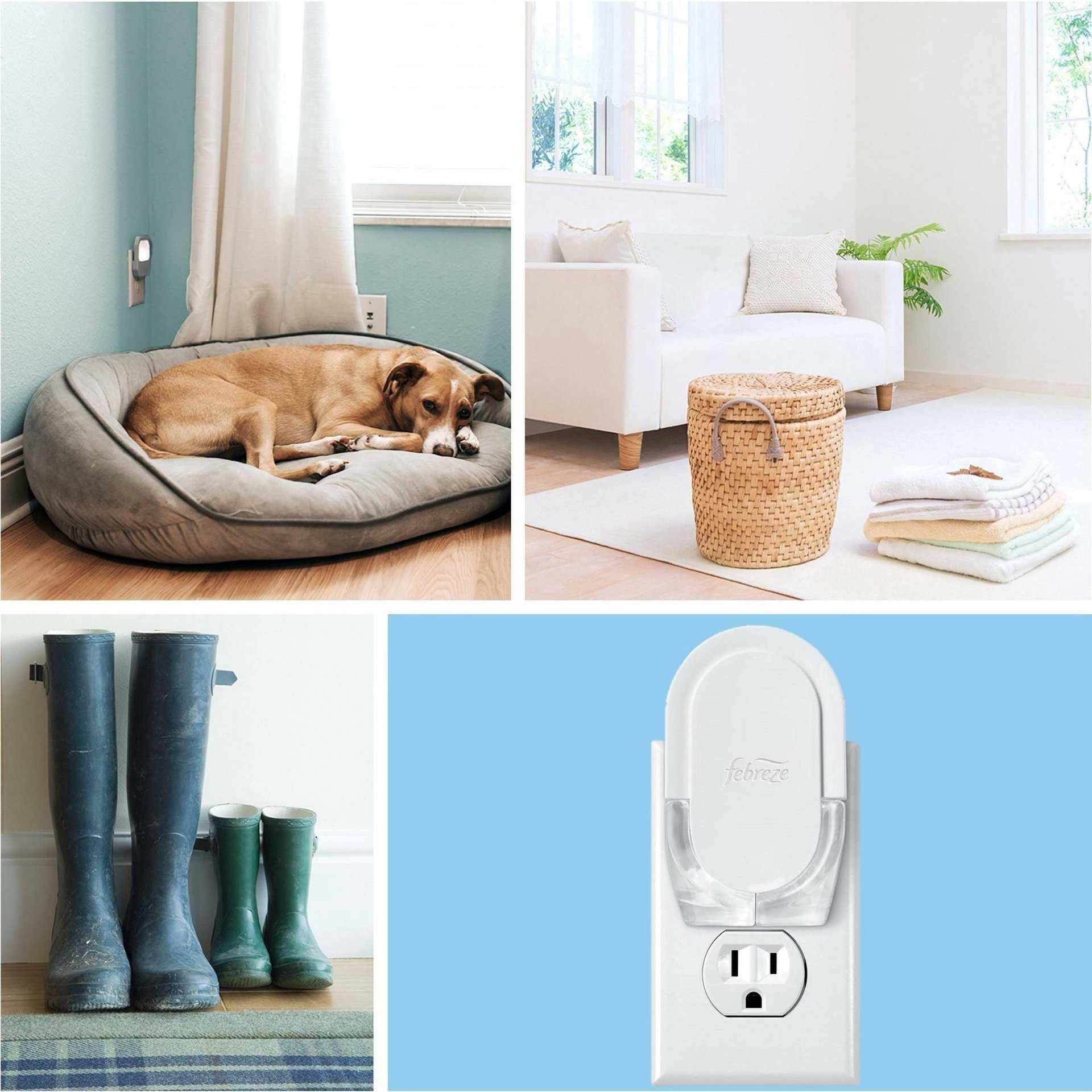 slide 8 of 14, Febreze Plug In Air Freshener, Odor-Fighting Scented Oil Refill, Mediterranean Lavender, 3 Refills, 3 ct