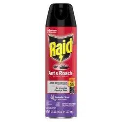 Raid Ant & Roach Killer 26, Indoor and Outdoor Insecticide Spray, Lavender Scent, 17.5 oz