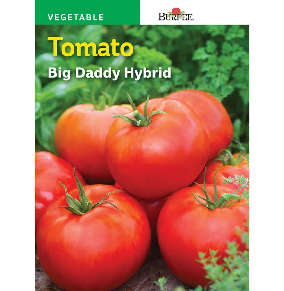 slide 1 of 1, Burpee Big Daddy Hybrid Tomato Seeds - Red, 1 ct