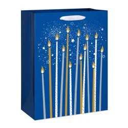 American Greetings Large Blue Birthday Gift Bag