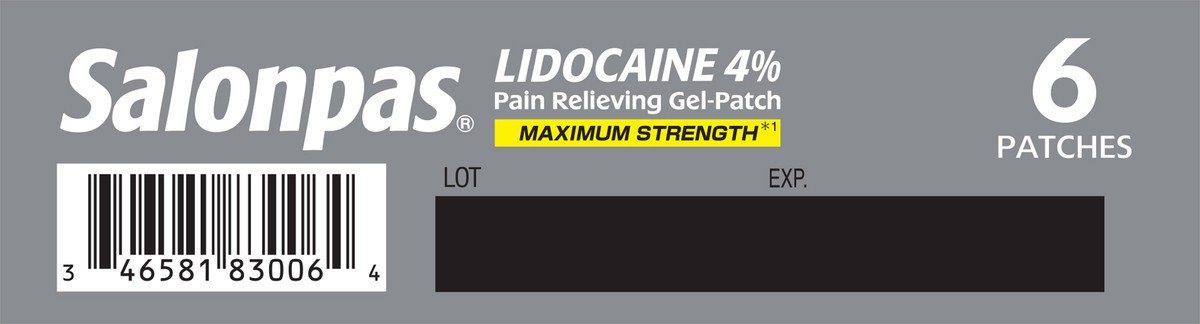 slide 7 of 11, Salonpas Maximum Strength Patches Pain Relieving Gel-Patch 6 ea, 6 ct
