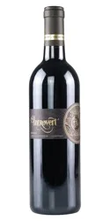 introvert Cabernet Sauvignon