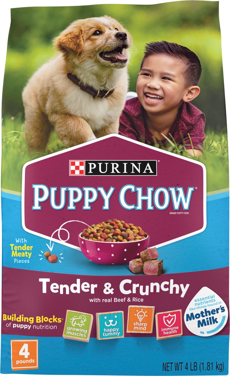 slide 3 of 8, Puppy Chow Purina Puppy Chow High Protein Dry Puppy Food, Tender & Crunchy With Real Beef - 4 lb. Bag, 4 lb