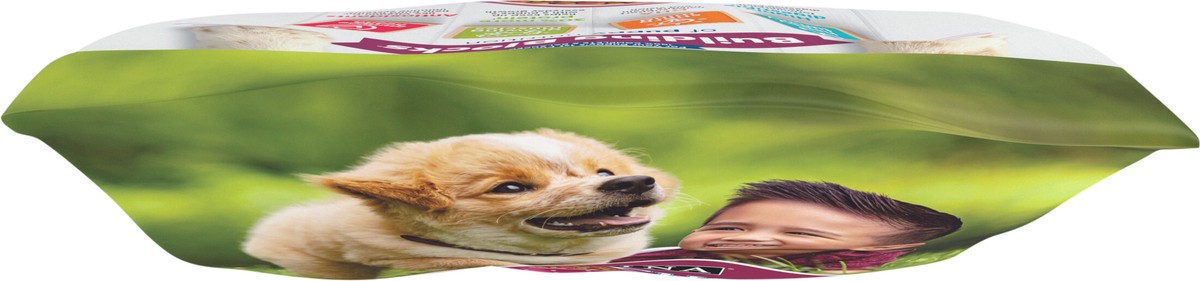 slide 7 of 8, Puppy Chow Purina Puppy Chow High Protein Dry Puppy Food, Tender & Crunchy With Real Beef - 4 lb. Bag, 4 lb