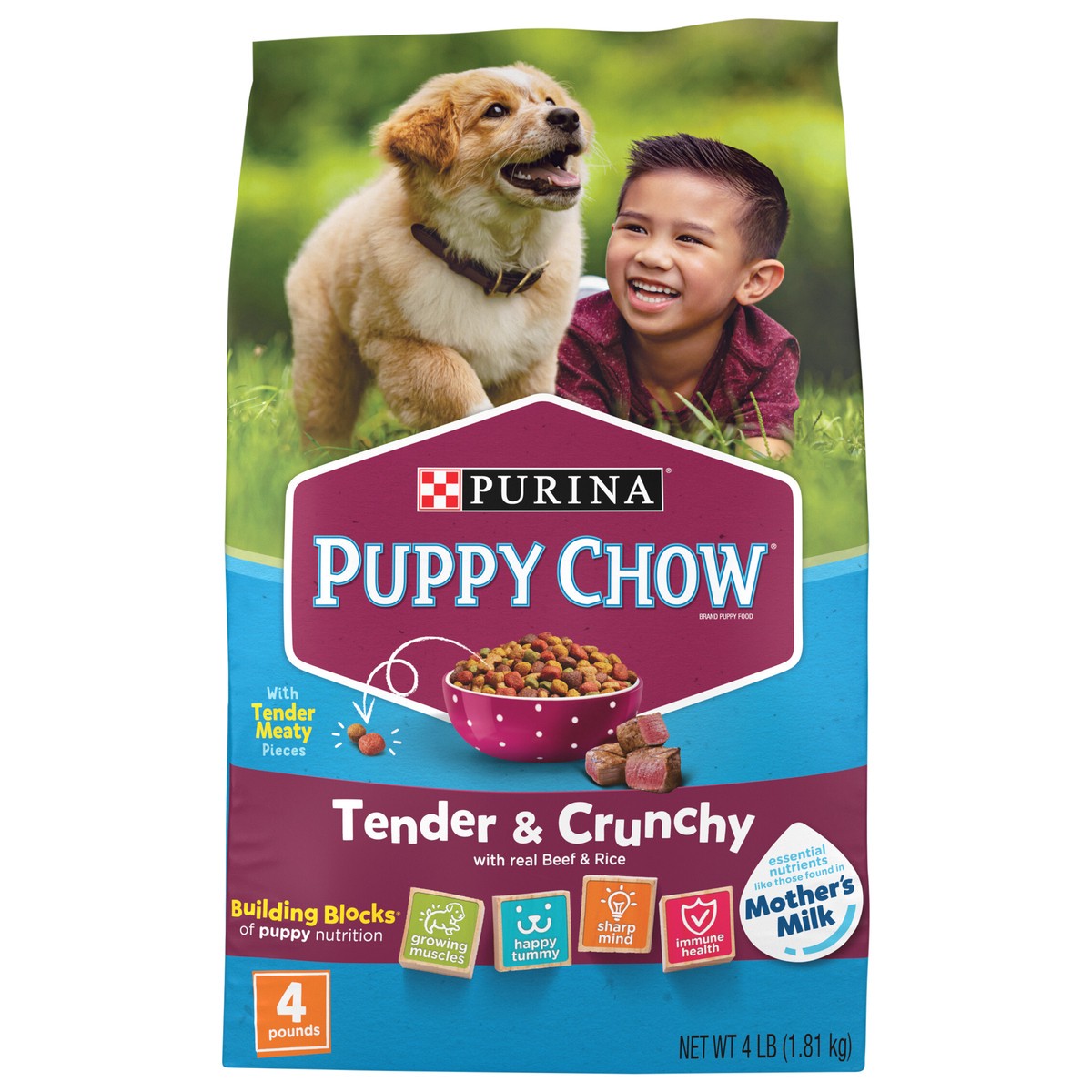 slide 1 of 8, Puppy Chow Purina Puppy Chow High Protein Dry Puppy Food, Tender & Crunchy With Real Beef - 4 lb. Bag, 4 lb