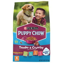 Purina Puppy Chow High Protein Dry Puppy Food, Tender & Crunchy With Real Beef