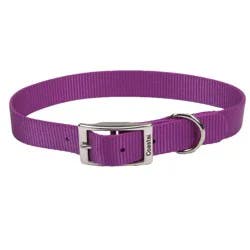 Alliance Blue Small Dog Collar