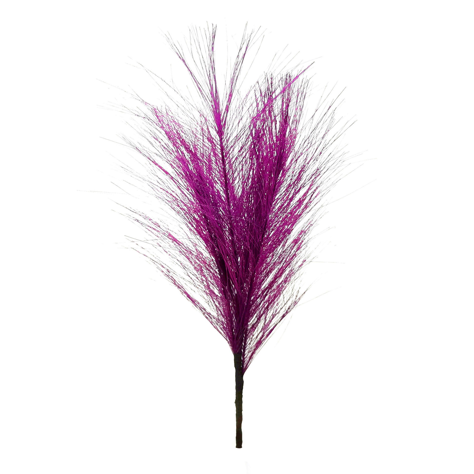 slide 3 of 3, 13.5" Pampas Grass Pick By Ashland, 13.5 in