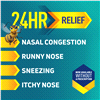 slide 8 of 21, Nasonex 24HR Allergy Nasal Spray, Allergy + Congestion, Mometasone, 120 Spray Count, 1 ct