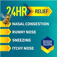 slide 4 of 21, Nasonex 24HR Allergy Nasal Spray, Allergy + Congestion, Mometasone, 120 Spray Count, 1 ct