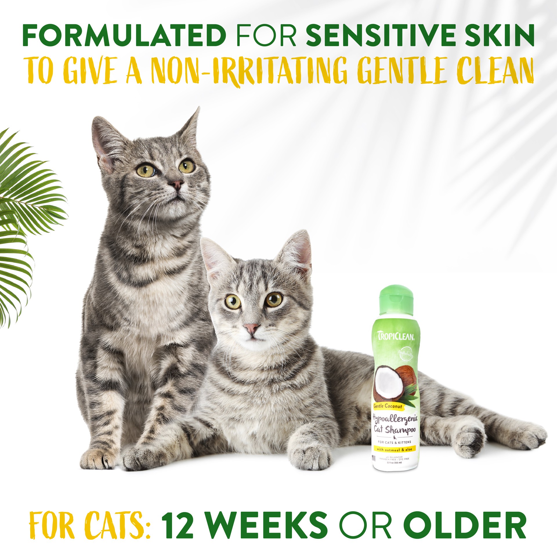 slide 2 of 10, TropiClean Gentle Coconut Hypoallergenic Cat & Kitten Shampoo, 12 oz