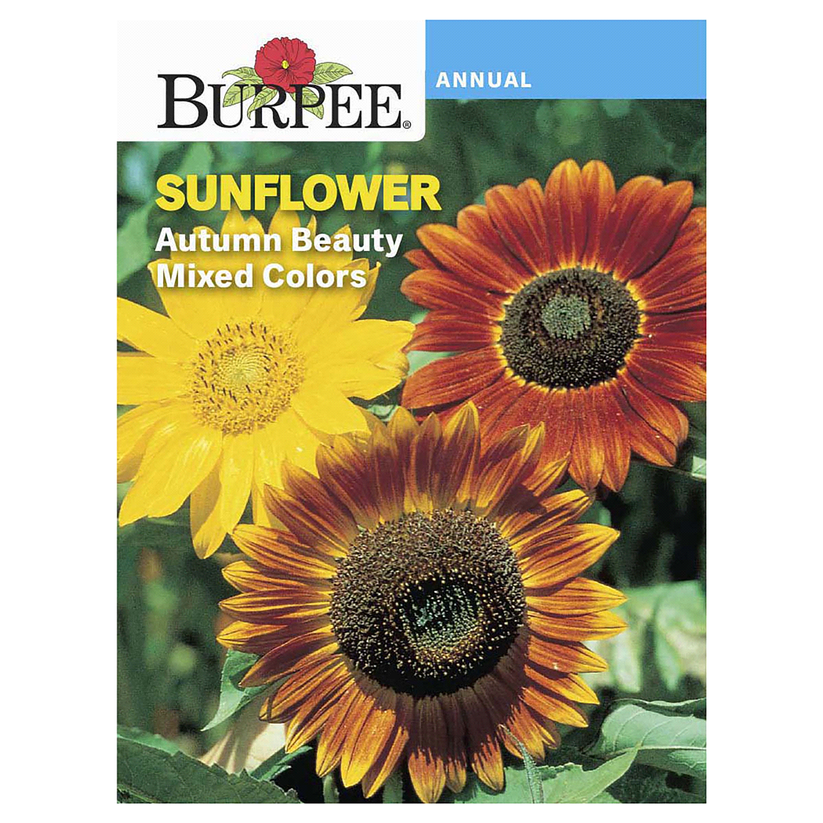 slide 1 of 5, Burpee Sunflower Autum Beauty Mix Seeds, 1 ct