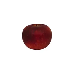 Cortland Apple