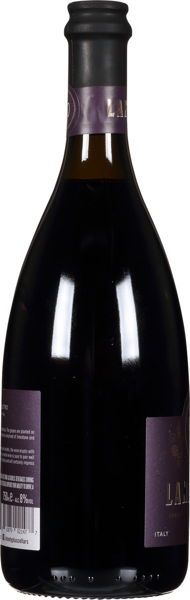 slide 6 of 9, 90+ Cellars Italy Lot 172 Lambrusco 750 ml, 750 ml