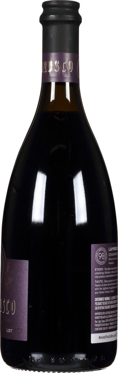 slide 3 of 9, 90+ Cellars Italy Lot 172 Lambrusco 750 ml, 750 ml