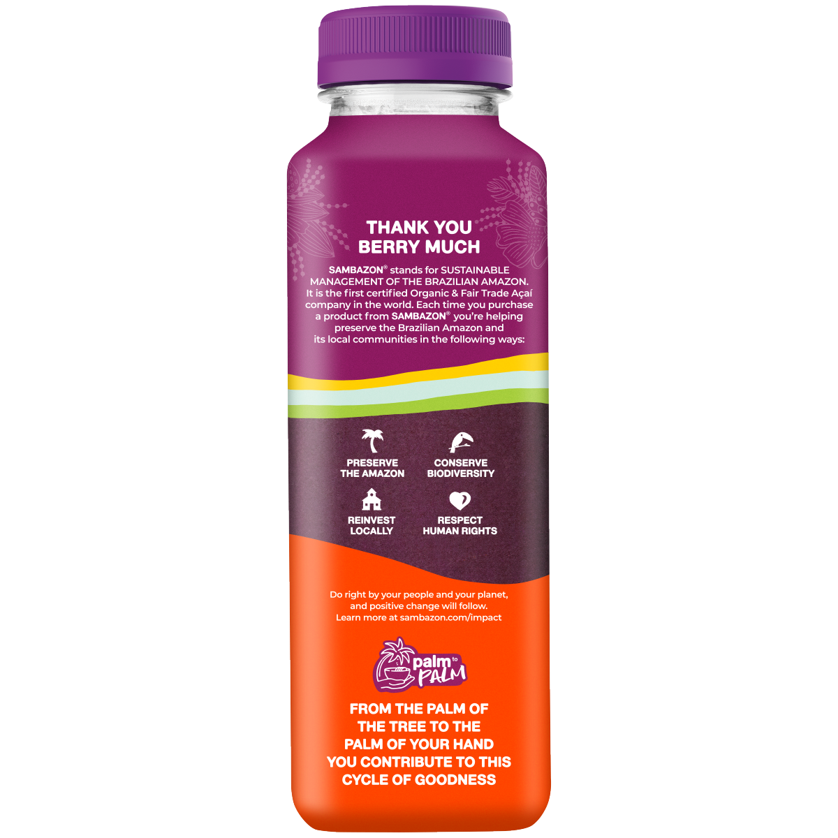 slide 2 of 4, SAMBAZON Organic Energy Superfruit Blend Acai Blueberry Juice, 12 oz, 12 oz
