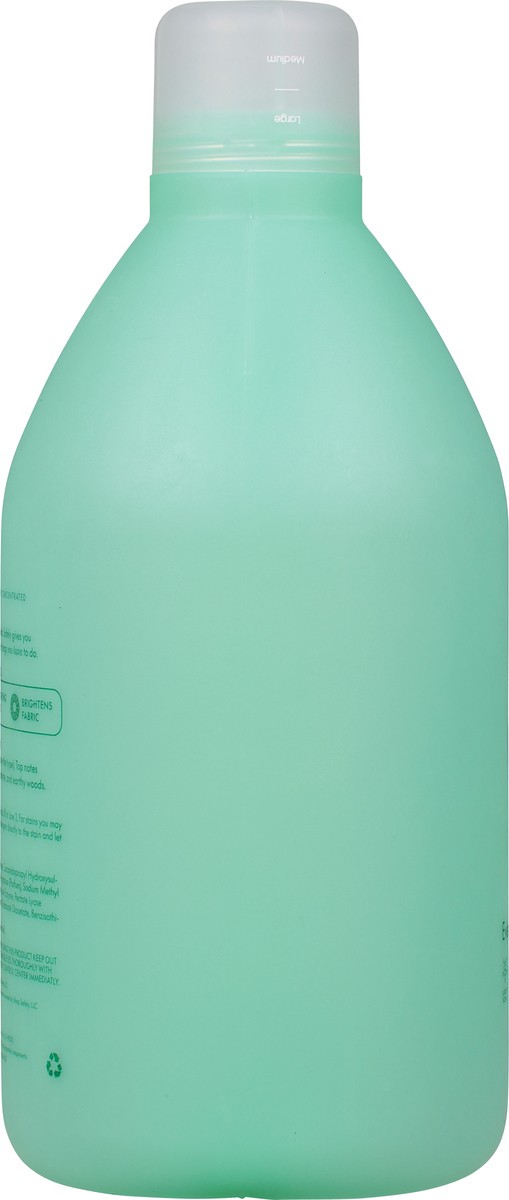 slide 7 of 13, Safely Rise Detergent 64 fl oz, 64 fl oz