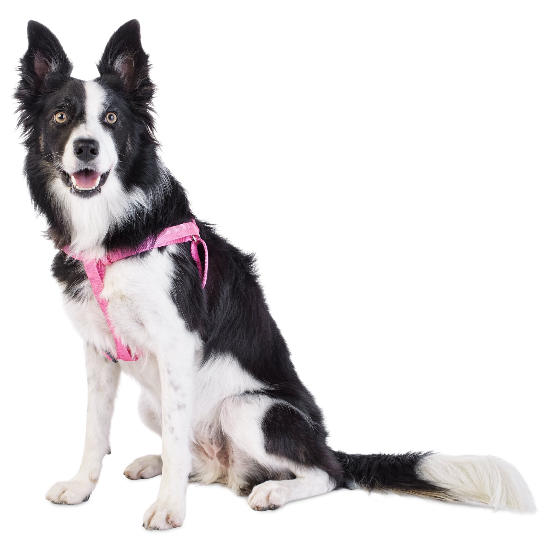 slide 1 of 1, Good2Go Easy Step-In Pink Comfort Dog Harness, MED