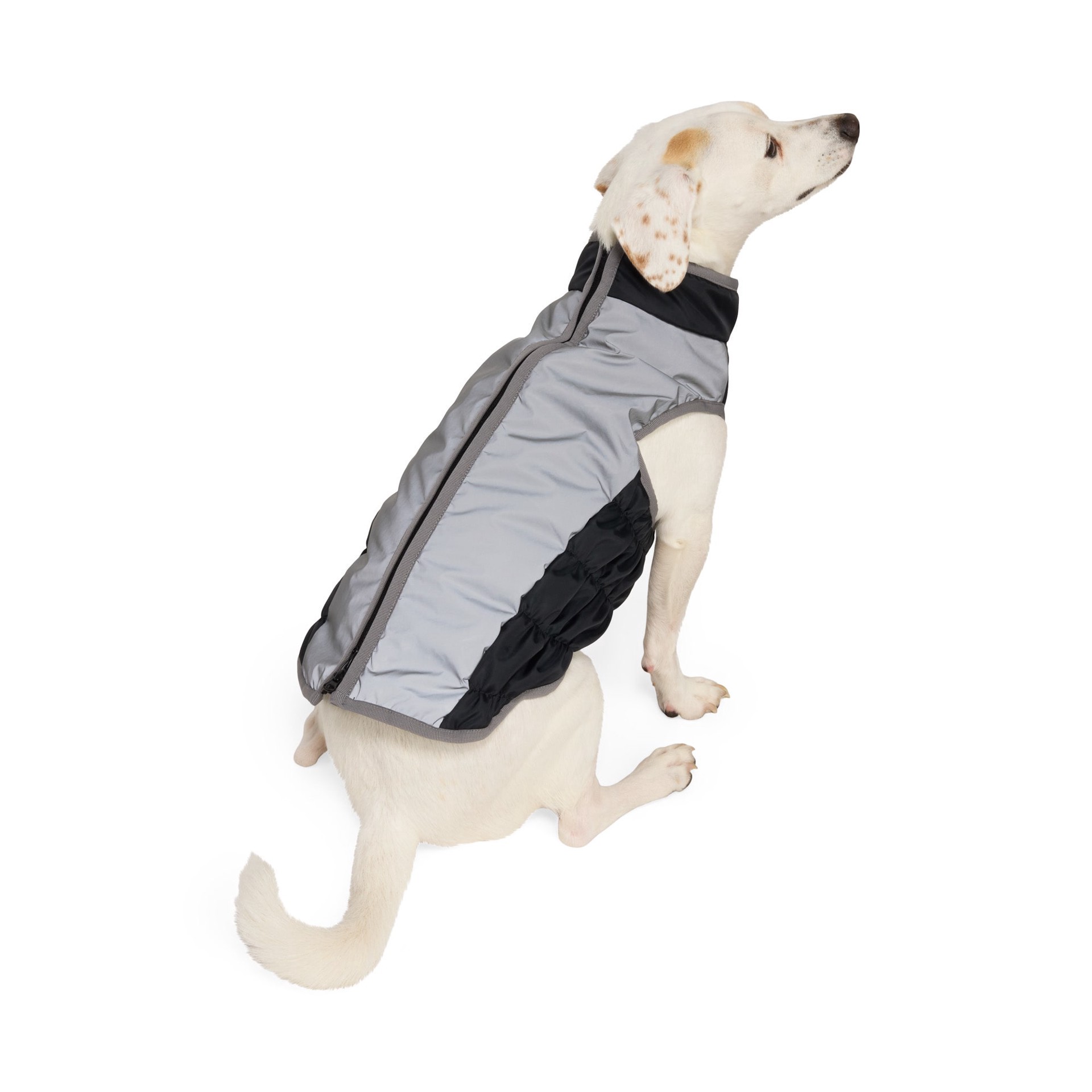 slide 1 of 1, YOULY Reflective Puffer Pet Jacket, X-Small, 1 ct