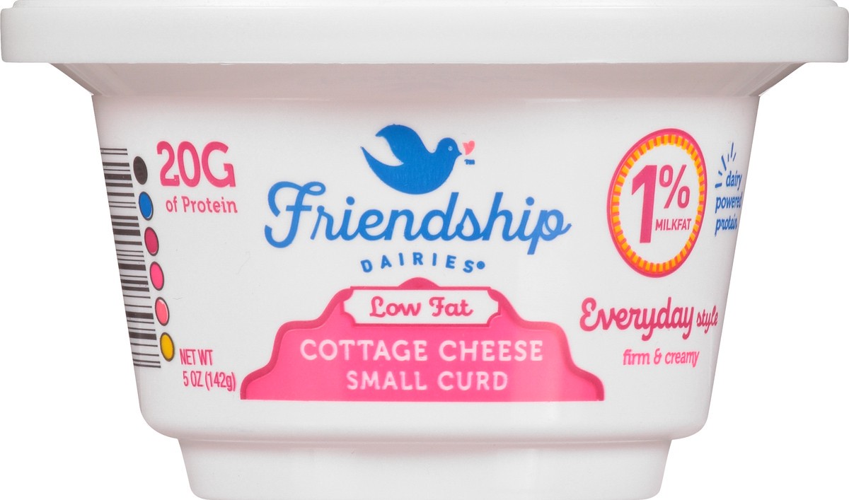 slide 1 of 9, Friendship Dairies Low Fat 1% Milkfat Everyday Style Small Curd Cottage Cheese 5 oz, 5 oz