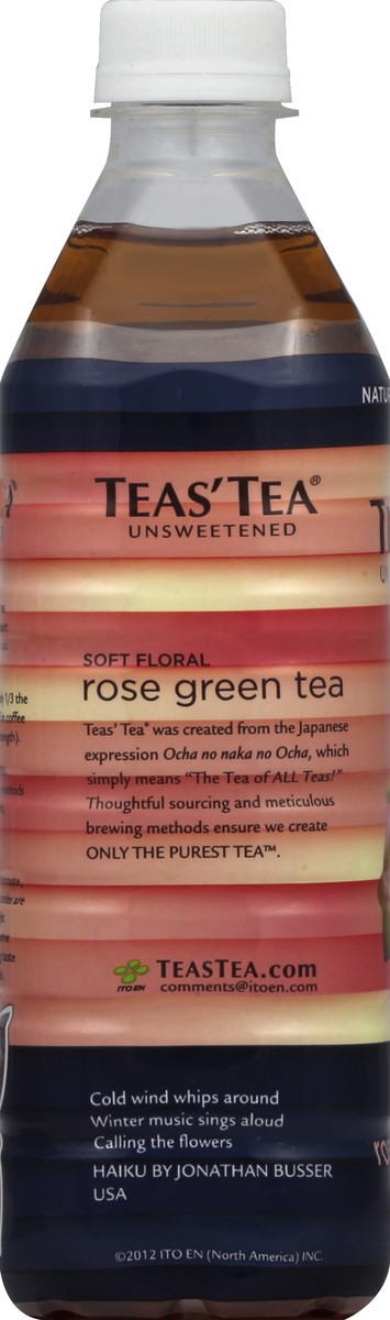 slide 3 of 4, Teas' Tea Green Tea 16.9 oz, 16.9 fl oz
