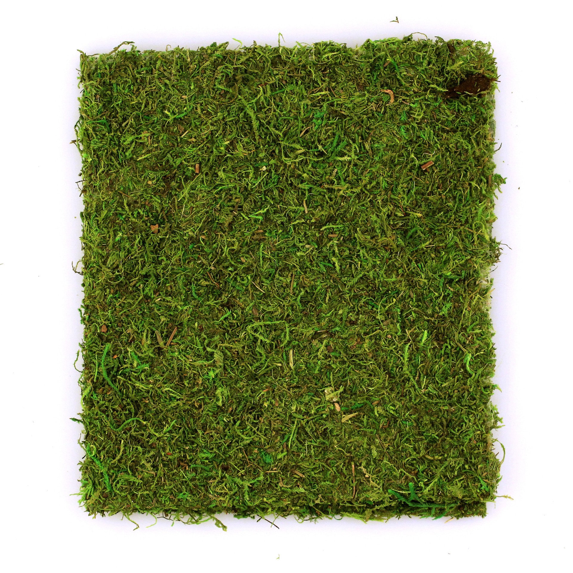 slide 2 of 3, Supermoss Instant Green All-Purpose Moss Mat, 18 in x 48 in