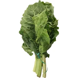 Organic Green Chard