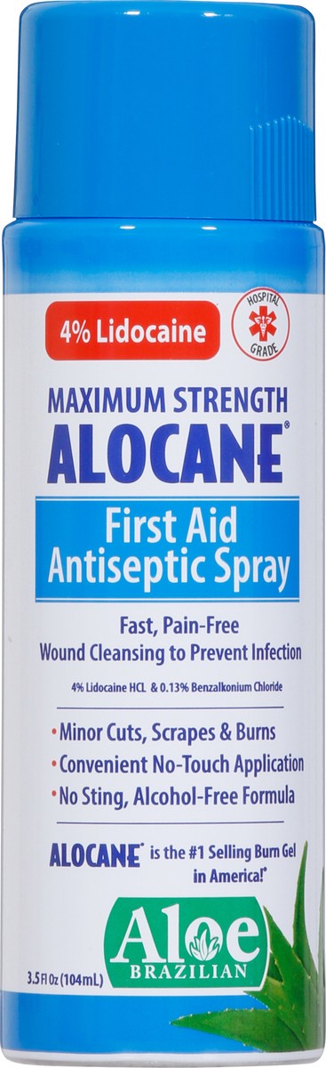 slide 6 of 9, Alocane 4% Lidocaine Maximum Strength Aloe First Aid Antiseptic Spray 3.5 fl oz, 3.5 fl oz