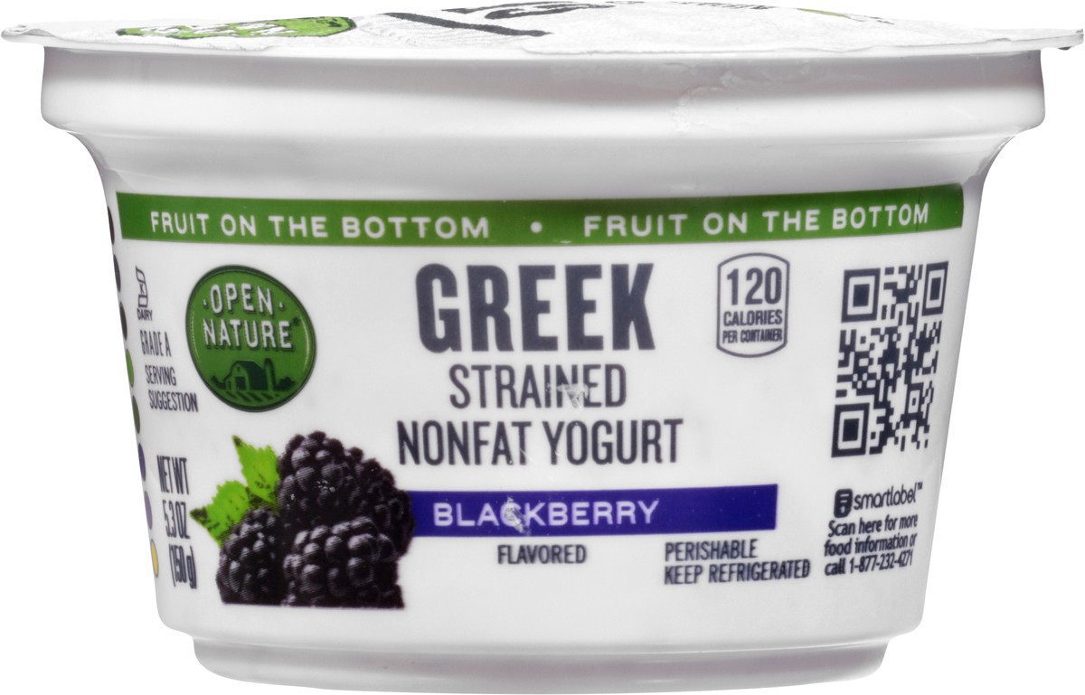 slide 4 of 9, Open Nature Greek Yogurt Blackberry Nonfat, 5.3 oz