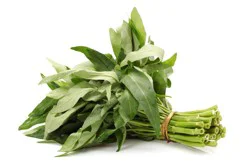 Fresh Ong Choy