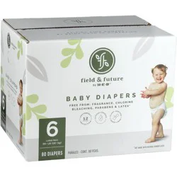 Field & Future by H-E-B Large Pack Baby Diapers - Size 6