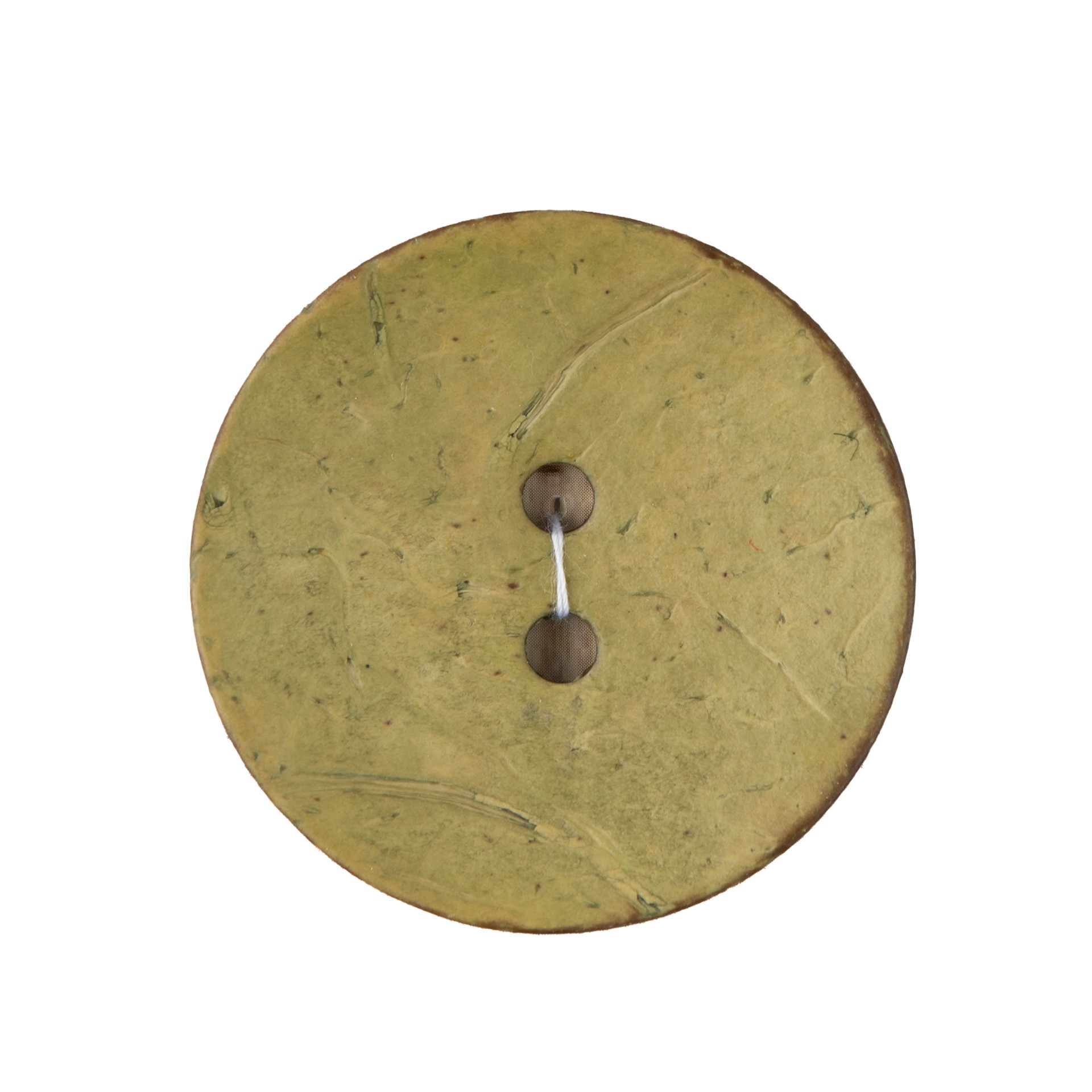 slide 2 of 3, Blumenthal Lansing Organic Elements 2" Yellow Green Coconut Button, 2 in