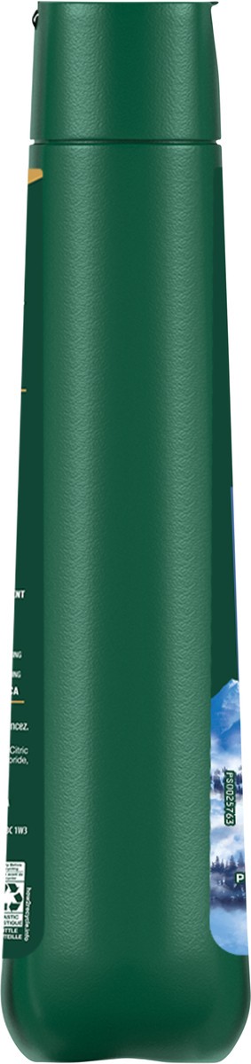 slide 3 of 8, Irish Spring Mountain Chill Moisturizing Body Wash for Men, 24-Hour Fresh, Face and Body Wash, Men’s Body Wash, Biodegradable Ingredients, Paraben Free, Cool Fresh Scent, 20 fl Oz. Bottle, 20 fl oz