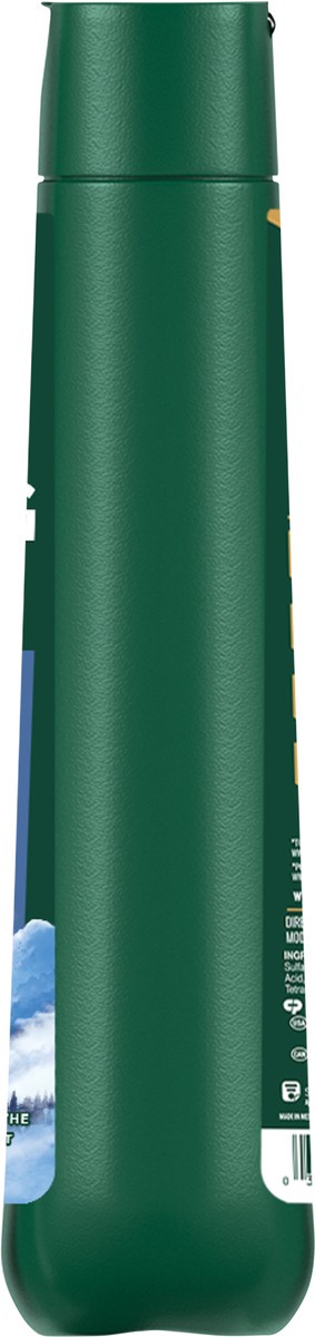 slide 6 of 8, Irish Spring Mountain Chill Moisturizing Body Wash for Men, 24-Hour Fresh, Face and Body Wash, Men’s Body Wash, Biodegradable Ingredients, Paraben Free, Cool Fresh Scent, 20 fl Oz. Bottle, 20 fl oz