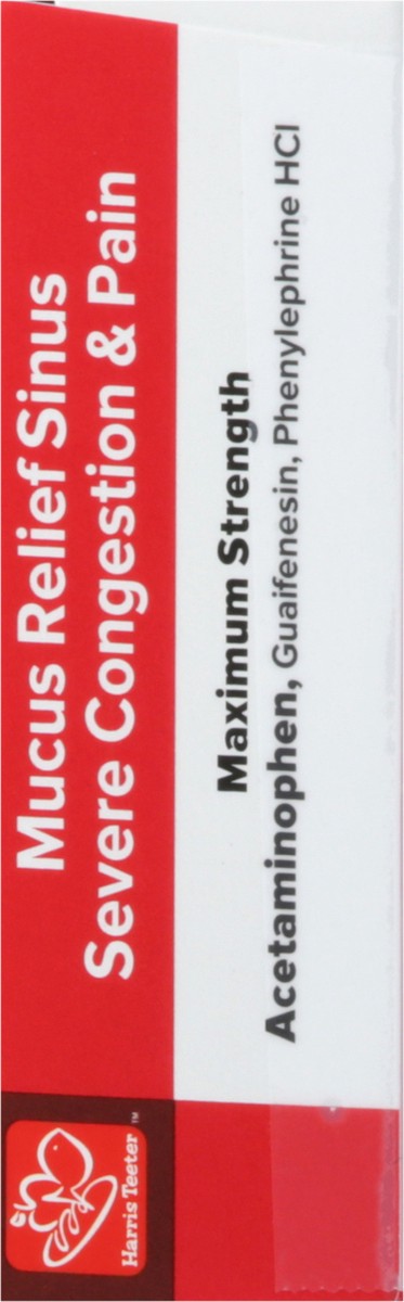 slide 4 of 13, Harris Teeter Mucus Relief Severe Cong, 20 ct