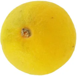 Orange Fuyu Persimmon