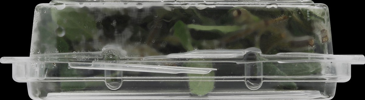 slide 5 of 6, Full Circle Oregano, 0.67 oz