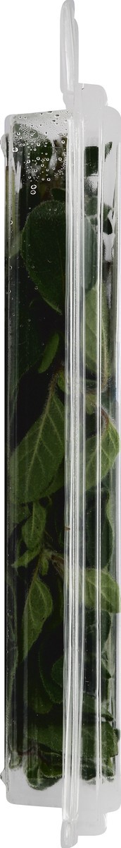 slide 2 of 6, Full Circle Oregano, 0.67 oz