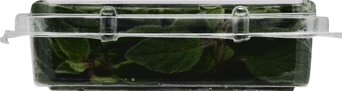 slide 6 of 6, Full Circle Oregano, 0.67 oz