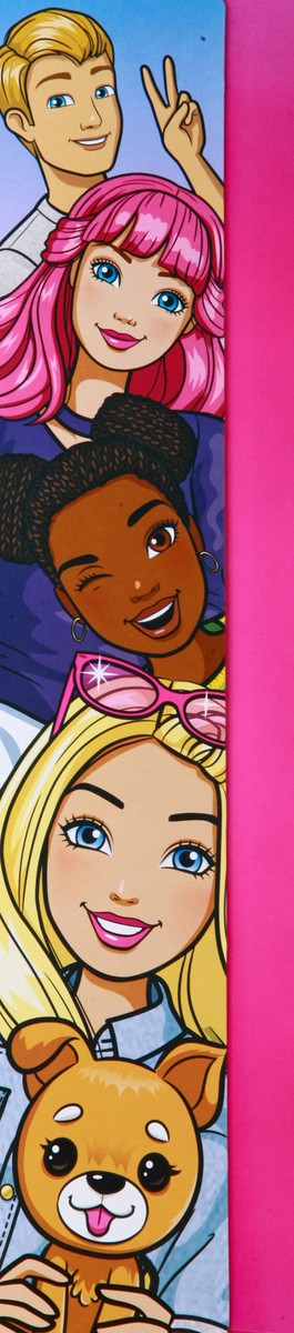 slide 7 of 9, Barbie 3+ Doll, Pets and Playset 1 ea, 1 ct