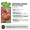 slide 6 of 9, Bonnie Plants  Tomato German Queen, 19.3 oz