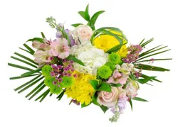 Dierbergs Flowers & Gifts Blooming Joy Bouquet