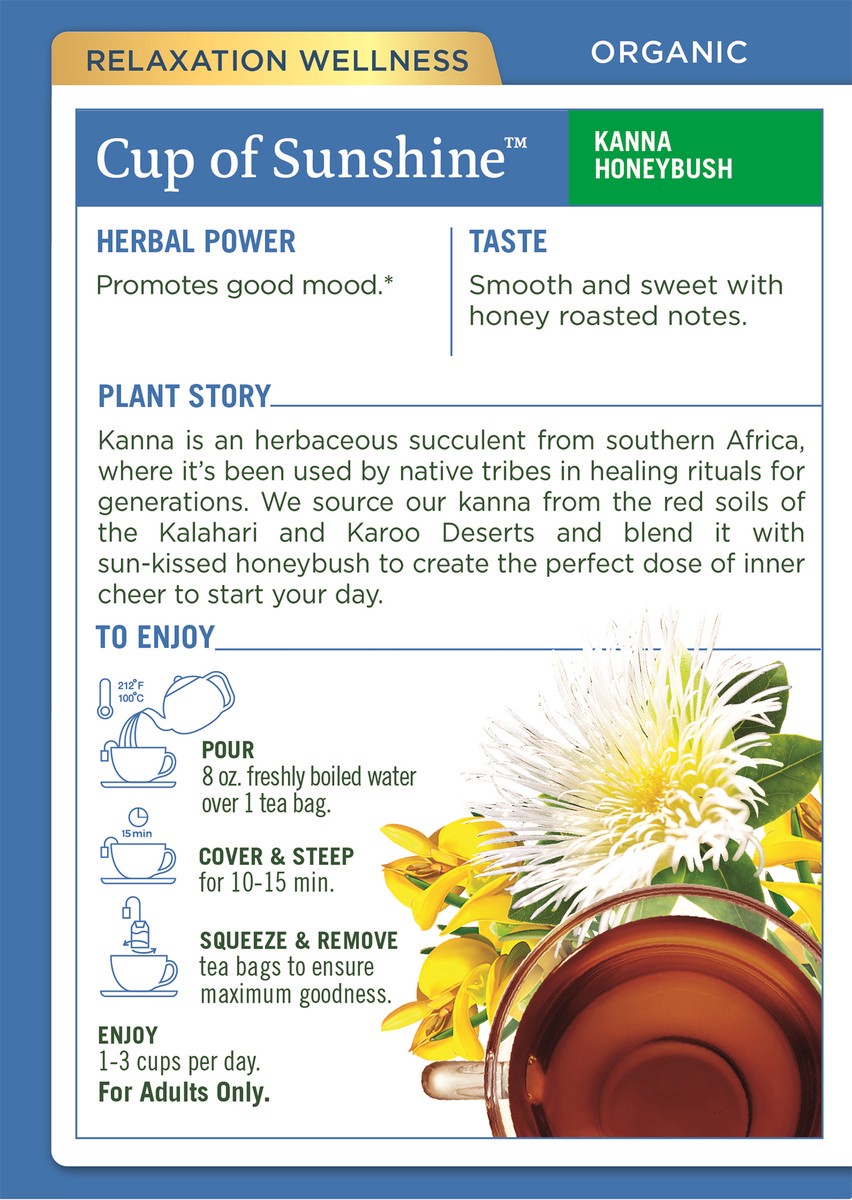 slide 2 of 6, Traditional Medicinals Cup of Sunshine - 16 ct, 16 ct