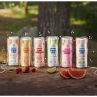 slide 3 of 29, Absolut Grapefruit Paloma Sparkling, 4 ct; 12 oz