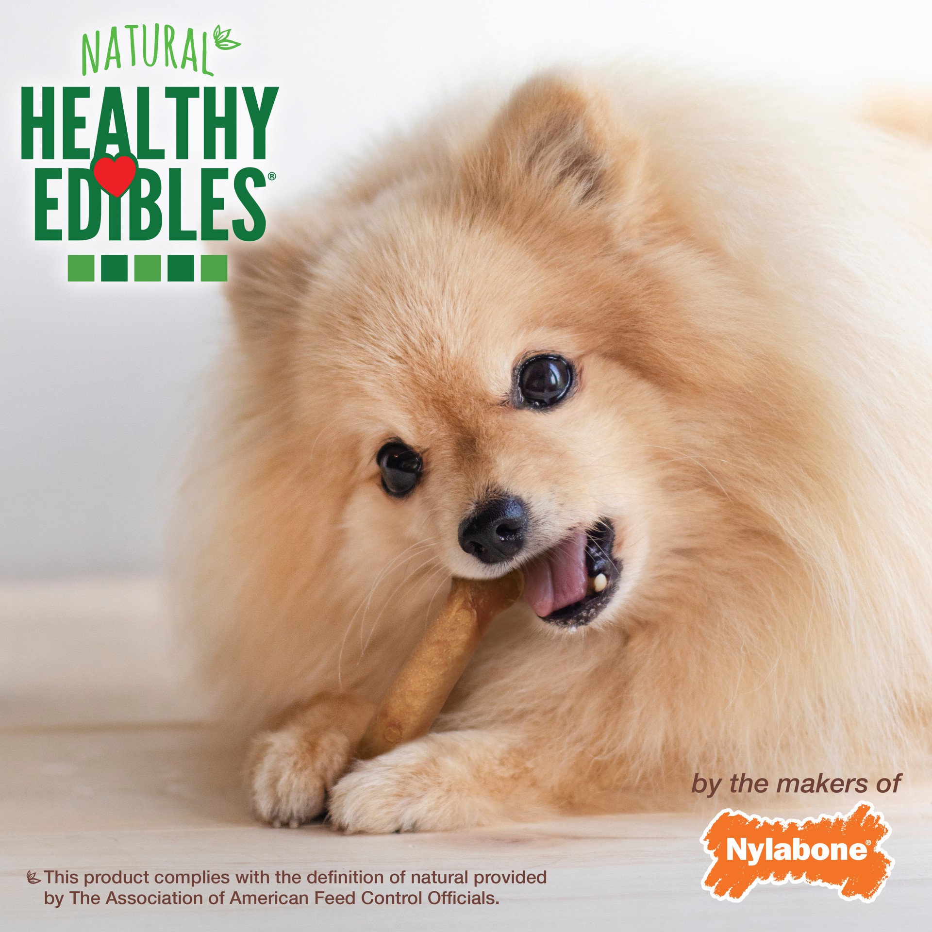 slide 5 of 10, Nylabone Healthy Edibles All-Natural Long Lasting Chicken Dog Chew Treats X-Small/Petite - Up to 15 lbs.(16 Count), 12.4 oz