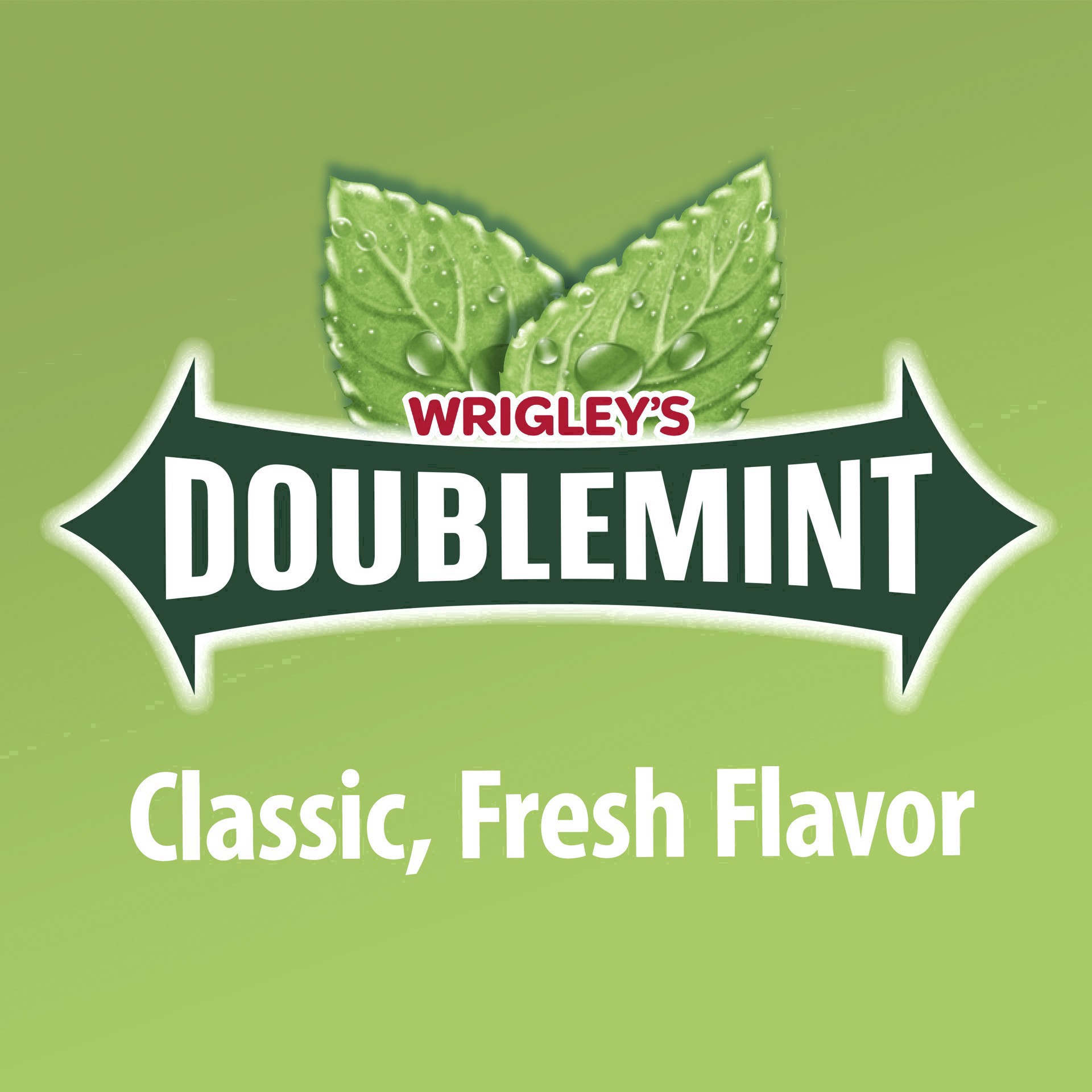slide 95 of 134, Doublemint WRIGLEY'S DOUBLEMINT Bulk Chewing Gum, Value Pack, 15 ct (3 Pack), 45 ct
