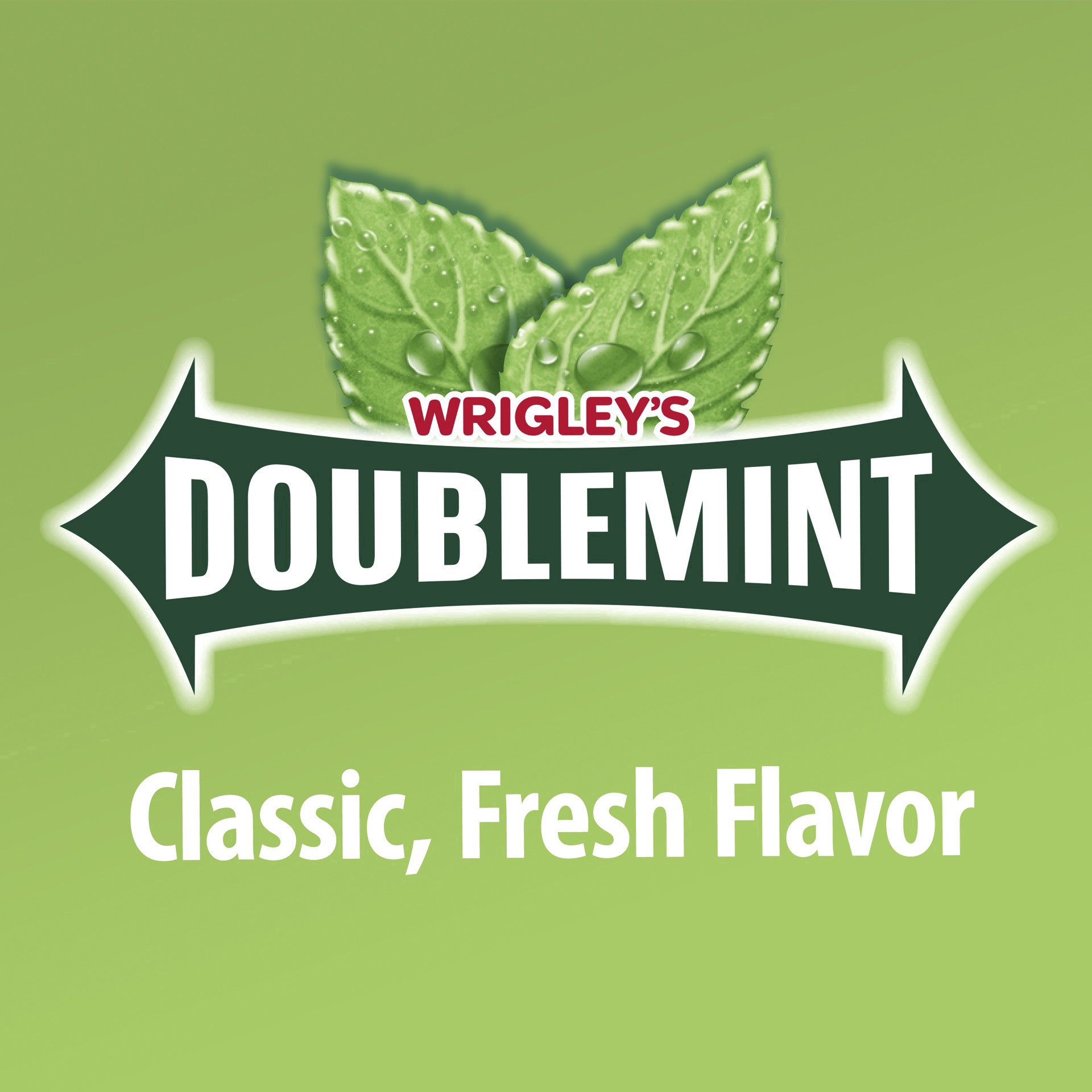 slide 31 of 134, Doublemint WRIGLEY'S DOUBLEMINT Bulk Chewing Gum, Value Pack, 15 ct (3 Pack), 45 ct